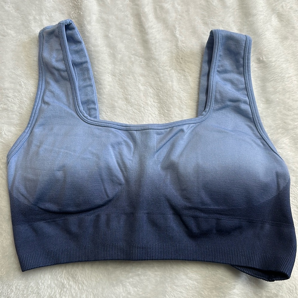 Buffbunny Synergy Seamless Bra Rainwater Ombré